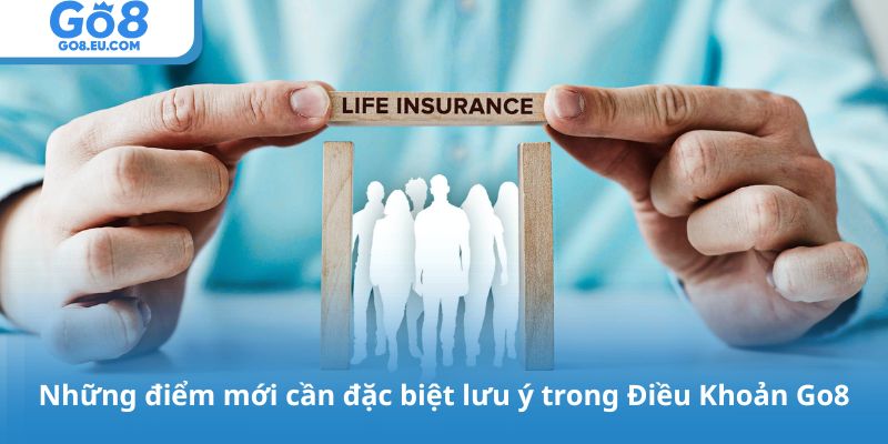 Những điểm mới cần đặc biệt lưu ý trong Điều Khoản Go8